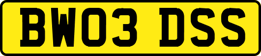 BW03DSS
