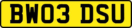 BW03DSU