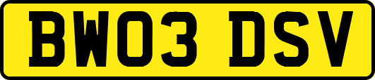 BW03DSV
