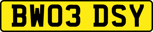 BW03DSY