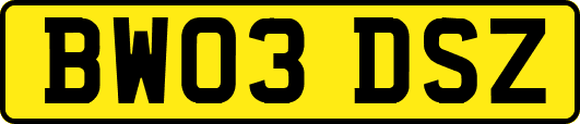 BW03DSZ