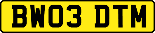 BW03DTM