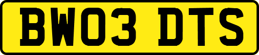 BW03DTS