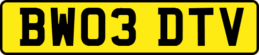 BW03DTV