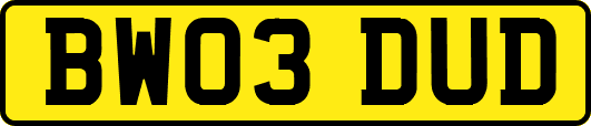 BW03DUD