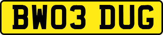 BW03DUG