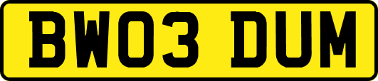 BW03DUM