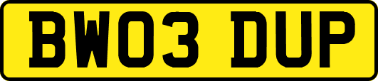BW03DUP