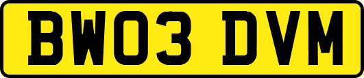 BW03DVM