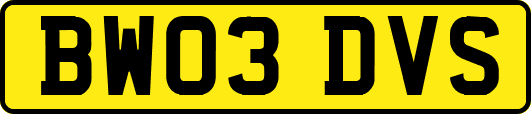 BW03DVS