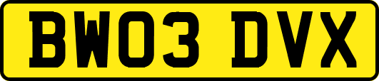 BW03DVX