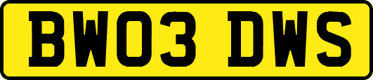 BW03DWS