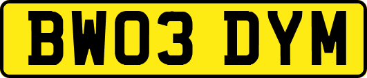 BW03DYM
