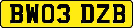 BW03DZB