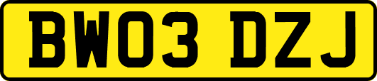 BW03DZJ