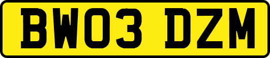 BW03DZM