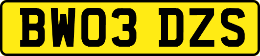 BW03DZS