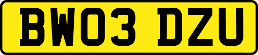 BW03DZU