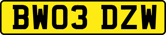 BW03DZW