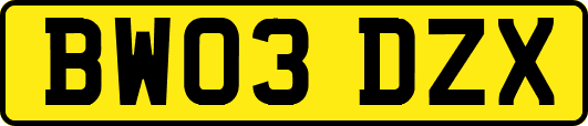 BW03DZX