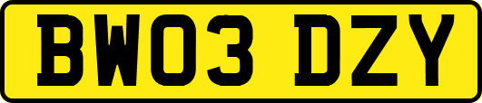 BW03DZY
