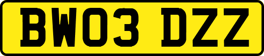 BW03DZZ