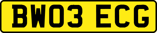 BW03ECG