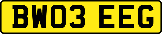 BW03EEG