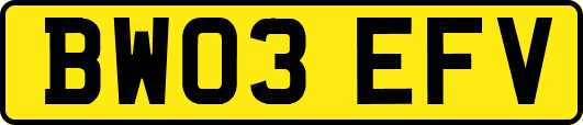 BW03EFV