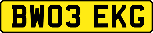 BW03EKG
