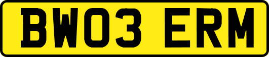 BW03ERM