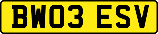 BW03ESV