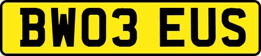 BW03EUS