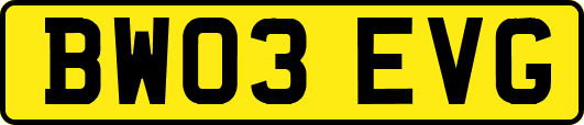 BW03EVG