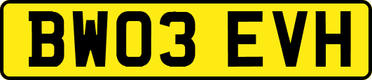 BW03EVH
