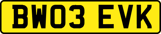 BW03EVK