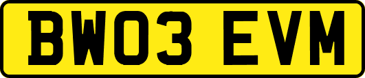 BW03EVM