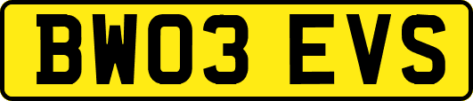 BW03EVS