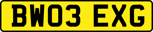 BW03EXG