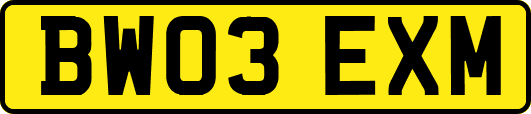 BW03EXM