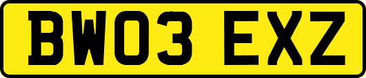 BW03EXZ