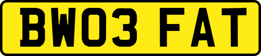 BW03FAT