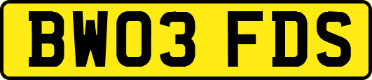 BW03FDS