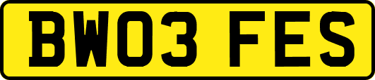 BW03FES