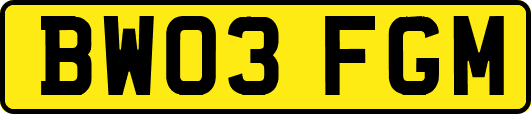 BW03FGM