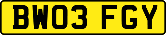 BW03FGY