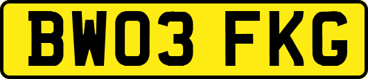 BW03FKG