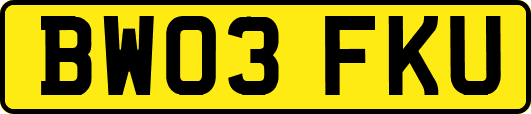 BW03FKU
