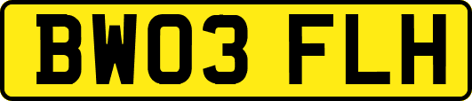 BW03FLH