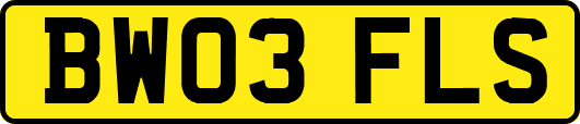 BW03FLS